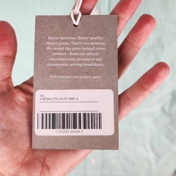 NWT Everlane Mint Pinstripe Oversized Cotton Button Up Shirt sz 00,0,2,12 - Picture 5 of 7